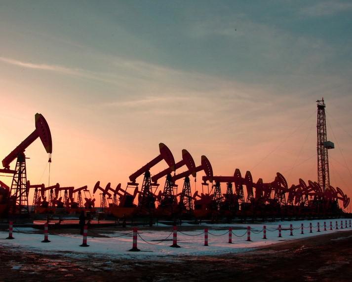 什么是东营利津,什么是东营职业学院