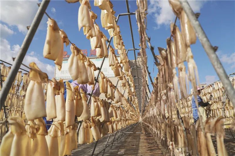 舟山最好吃的烤鱿鱼丝,烧烤鱿鱼虾脆卷零食加工厂