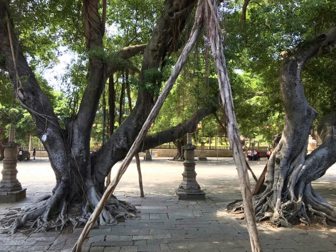 千米老街竟有16处宋元遗迹,上百条古巷飘香,这宝藏小城也太低调了「459集」