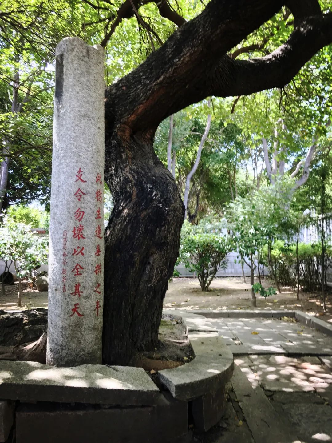 千米老街竟有16处宋元遗迹,上百条古巷飘香,这宝藏小城也太低调了「459集」