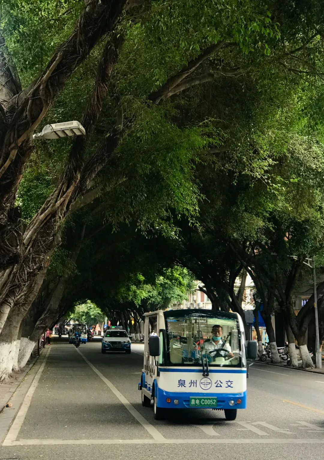 千米老街竟有16处宋元遗迹,上百条古巷飘香,这宝藏小城也太低调了「459集」