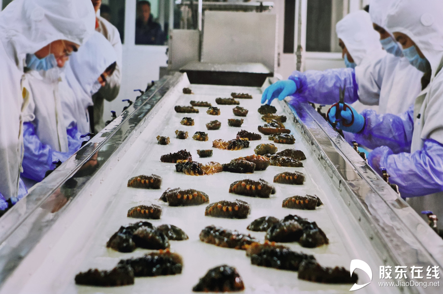 “云”见烟台:蓝色后浪奔涌海洋产业“参参”不息