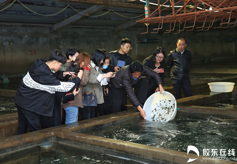 山海之约“参”情款款“云”见烟台乘风破浪