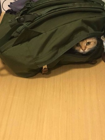 弟弟哭了哥哥哄睡觉暖心,弟弟半夜哭哥哥安慰