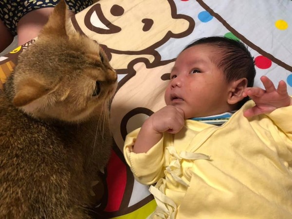 弟弟哭了哥哥哄睡觉暖心,弟弟半夜哭哥哥安慰