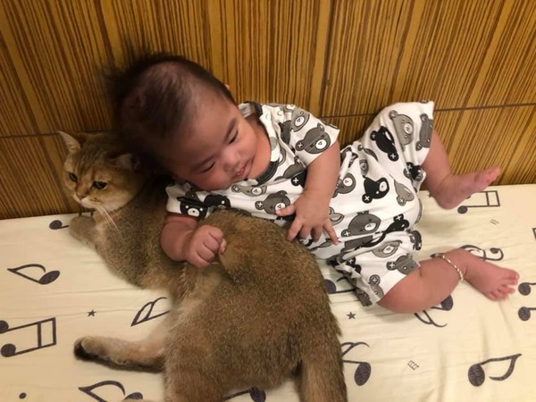 弟弟哭了哥哥哄睡觉暖心,弟弟半夜哭哥哥安慰