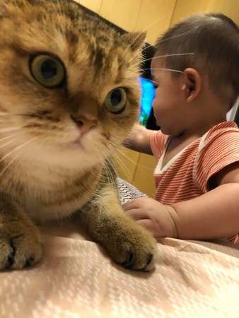 弟弟哭了哥哥哄睡觉暖心,弟弟半夜哭哥哥安慰