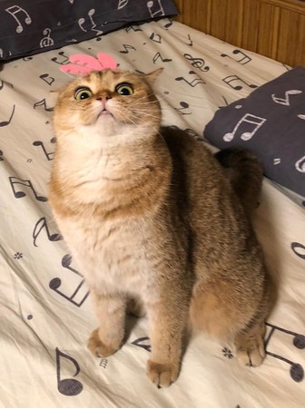 弟弟哭了哥哥哄睡觉暖心,弟弟半夜哭哥哥安慰