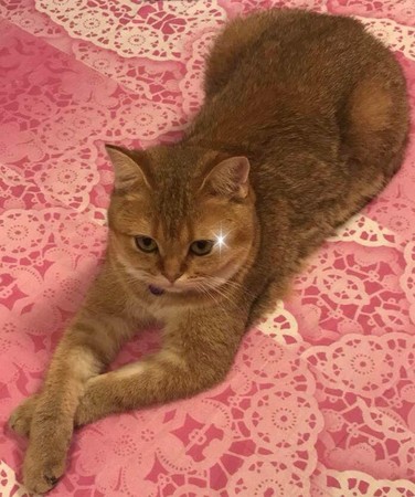 弟弟哭了哥哥哄睡觉暖心,弟弟半夜哭哥哥安慰