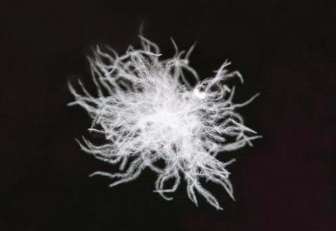 男人的快乐到底多简单 (男人的快乐究竟有多简单)