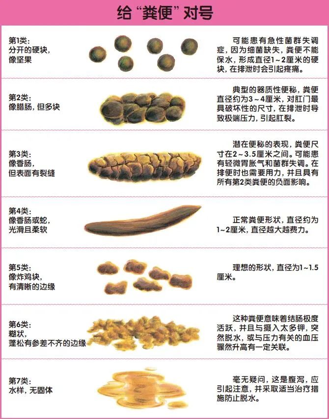 特大智能坐便器,超大智能马桶坐便器