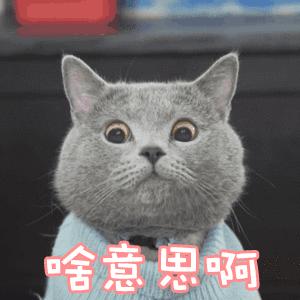 哺乳期妈妈生病可以喂宝宝吗,哺乳期的妈妈生病了能吃头孢吗