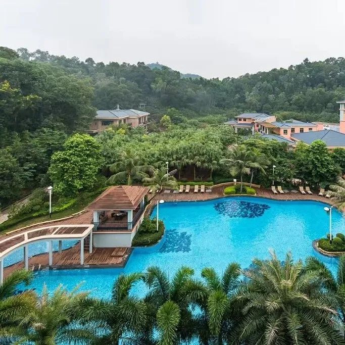 “双十一”提前了！本周末，东莞这里有文旅体大聚会！