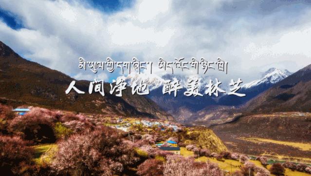 “双十一”提前了！本周末，东莞这里有文旅体大聚会！