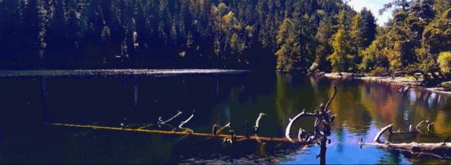 “双十一”提前了！本周末，东莞这里有文旅体大聚会！