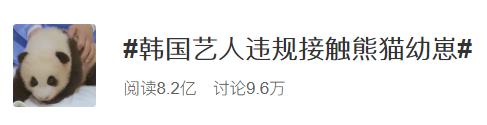 韩国艺人摸熊猫,韩国大熊猫被抓着拍视频