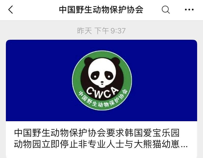 韩国艺人摸熊猫,韩国大熊猫被抓着拍视频