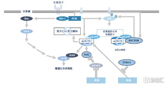 超20家明星机构看好，手握12款抗肿瘤药物的德琪医药-B（6996.HK）今日开始招股