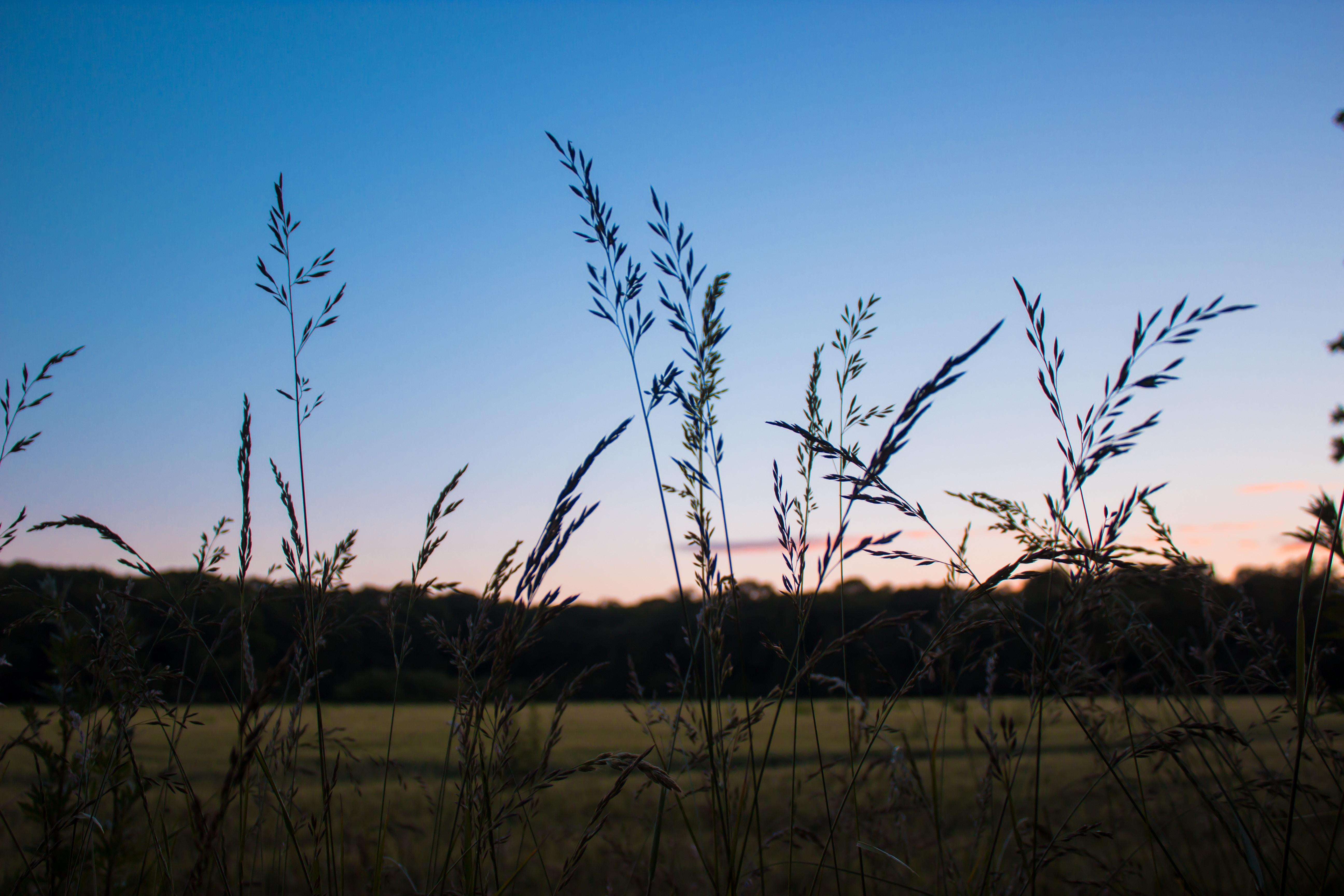 小额诉讼程序不需要传票吗,民事诉讼完善小额诉讼程序