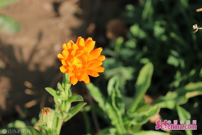 做自己最忠实的记录者,做一个有温度的记录者