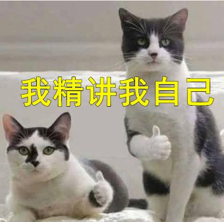 chinadaily对英语有帮助吗,chinadaily学英语视频