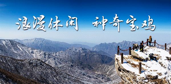 宝鸡市保税区新开项目,宝鸡综合保税区最新视频