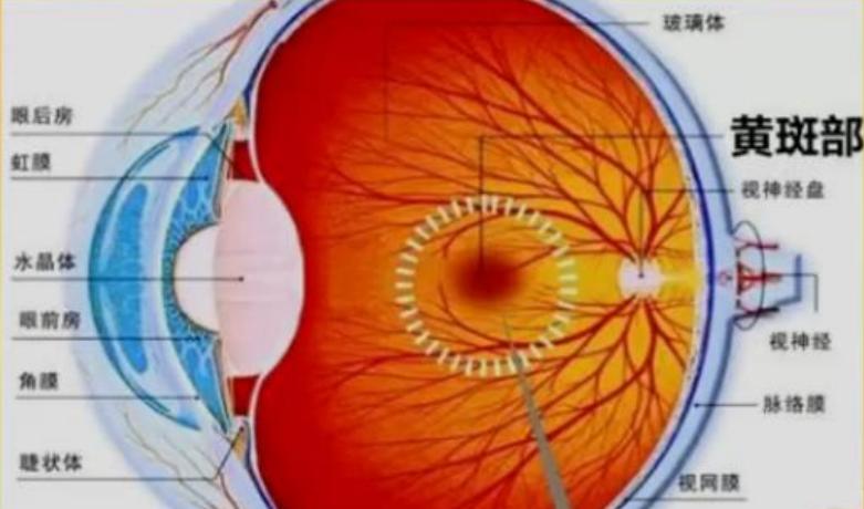 关灯看手机会引起视力快速下降吗,关灯看手机导致失明案例