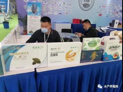 2022年海参生意难做吗,海参产业前景