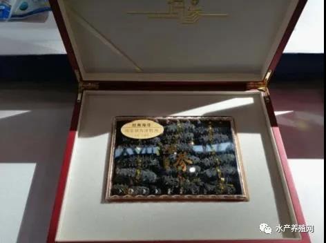 2022年海参生意难做吗,海参产业前景