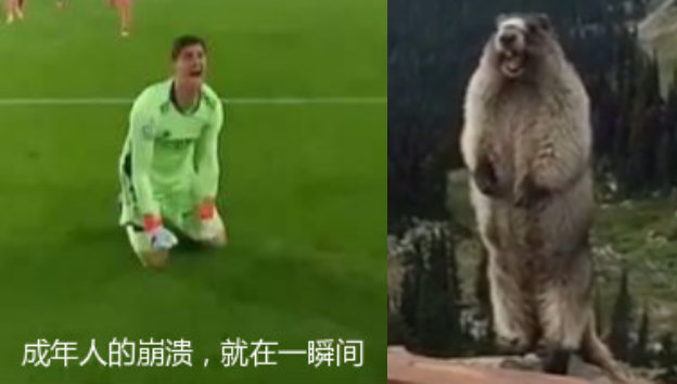 一周热评四十五秒,一周热评