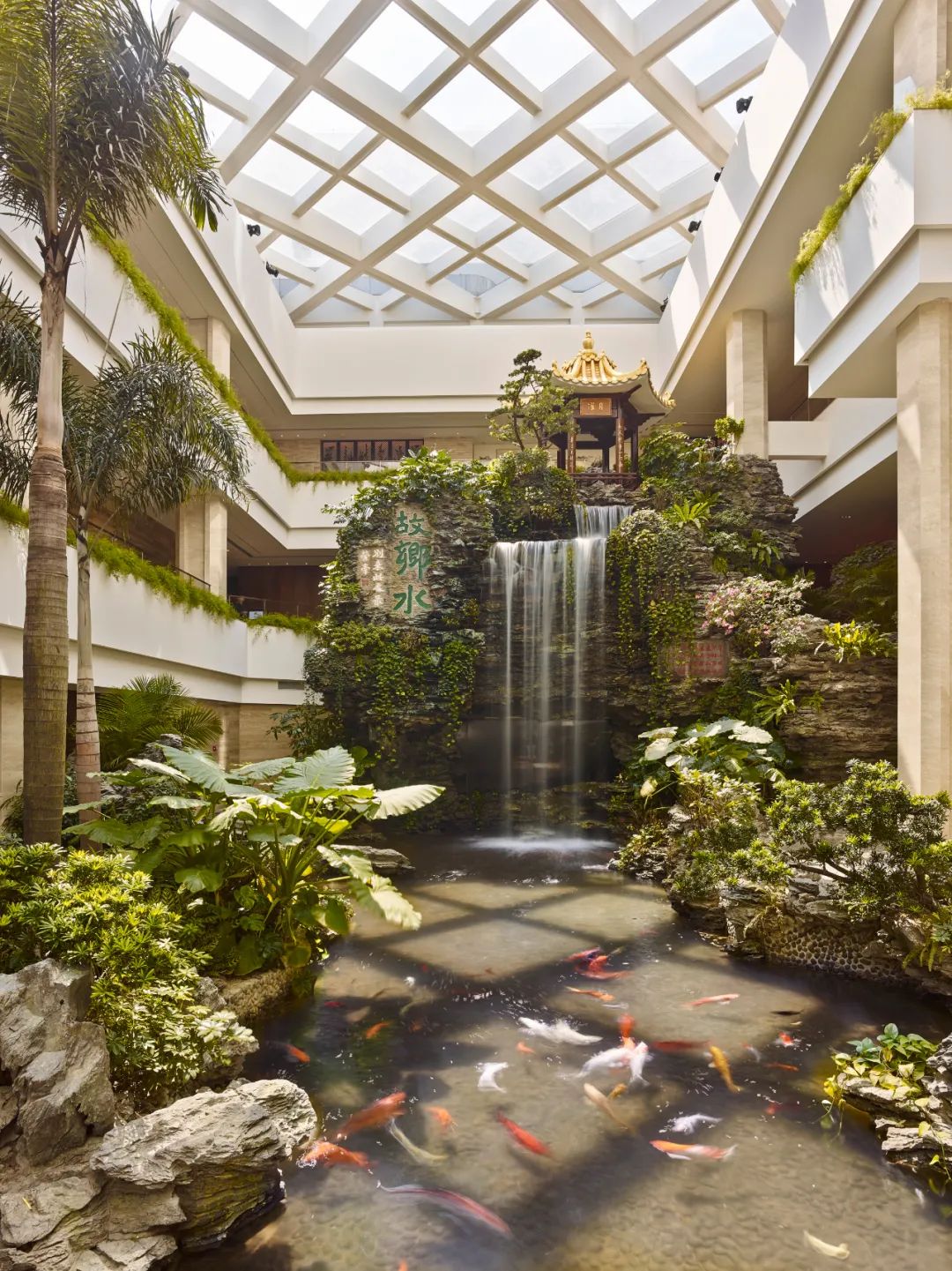 白天鹅宾馆套票,白天鹅宾馆哪里预订最实惠