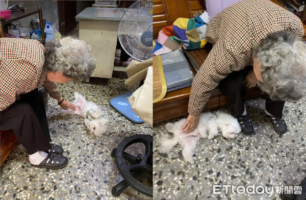 狗窝腿中享受「谜之抓抓」！表情爽到*天升**　网笑惨：阿嬷是*江老**湖