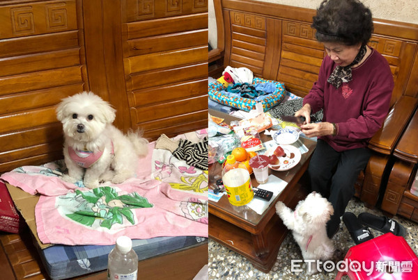 狗窝腿中享受「谜之抓抓」！表情爽到*天升**　网笑惨：阿嬷是*江老**湖