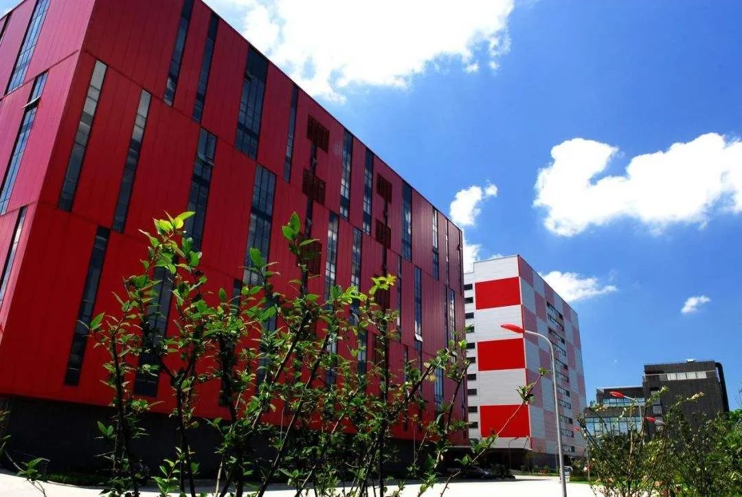 从“四叶草”到南闵行,一批原版韩国服饰、马来西亚榴莲正在奔向闵行