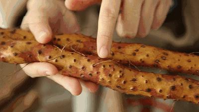 山药去皮一根筷子就能搞定，手不粘也不痒，简单又快