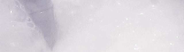 sevenbus冰淇淋奶茶9.9,sevenbus岩烧芝士奶茶