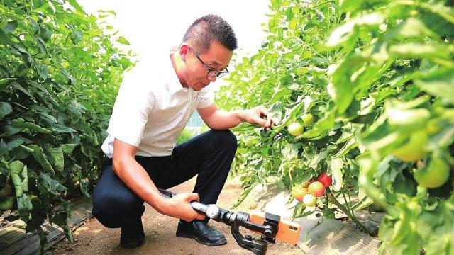 章丘市电商,章丘电商代运营