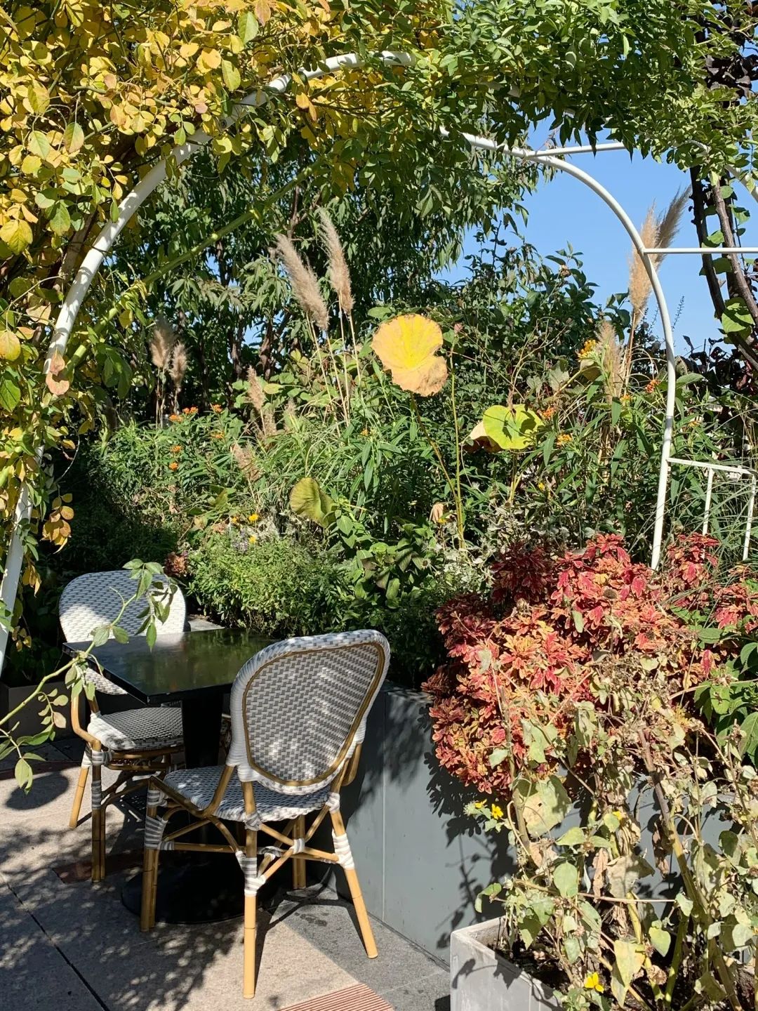 北京浪漫又好看的风景餐厅,北京适合夏天去的餐厅