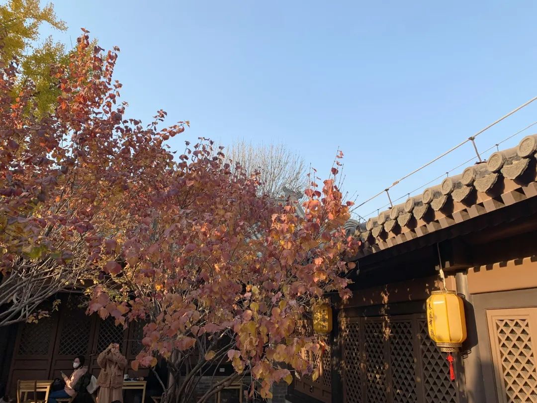 北京浪漫又好看的风景餐厅,北京适合夏天去的餐厅