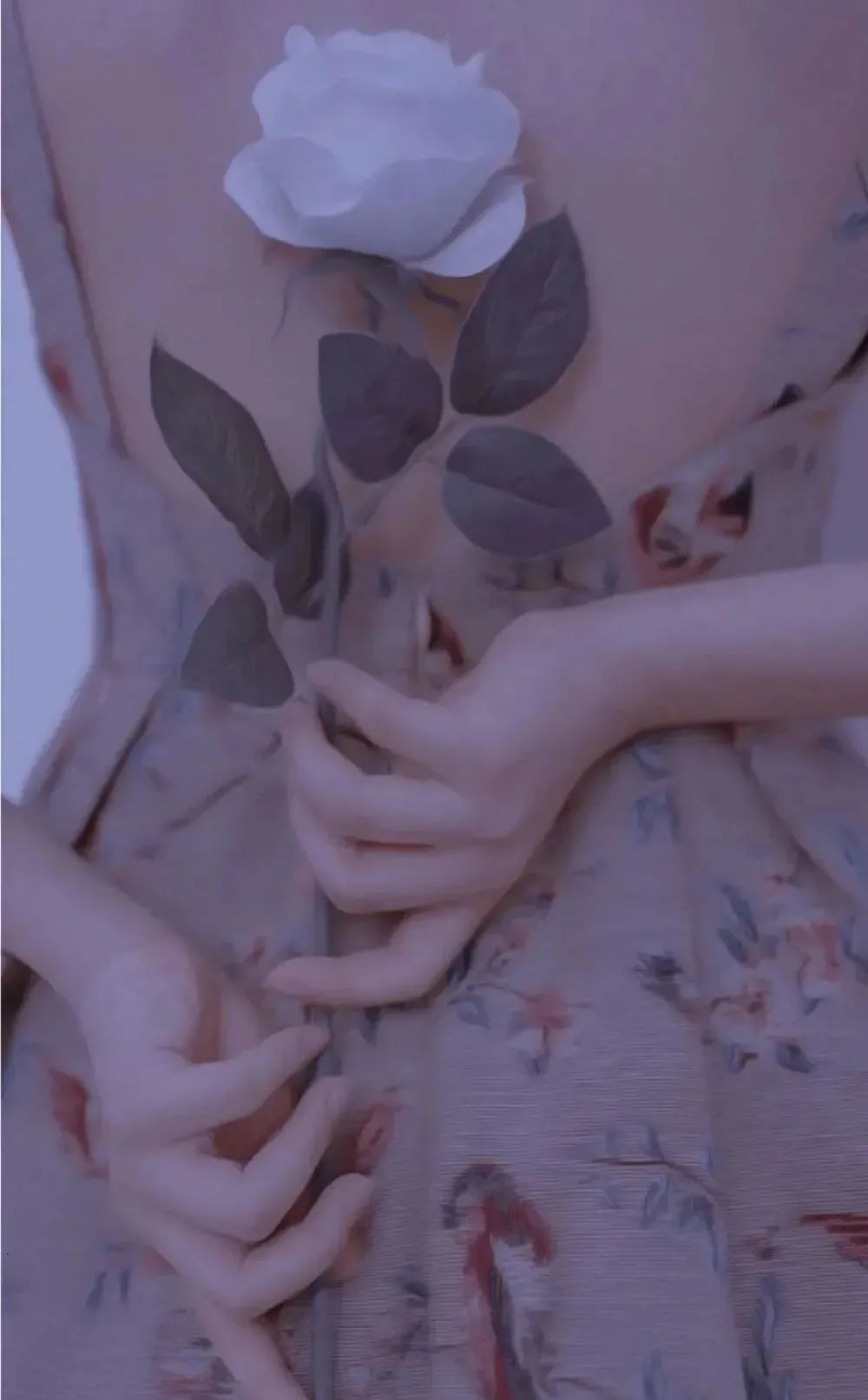 换季肌肤问题干货合集戳我,分享换季小妙招