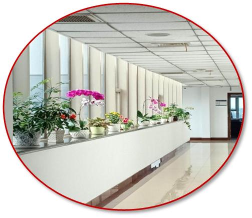 政治环境观摩会,市直机关开展清廉文化建设