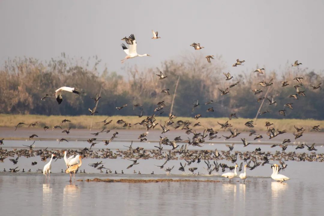 途经呼和浩特高铁车次,呼和浩特高铁列车时刻表及途经站