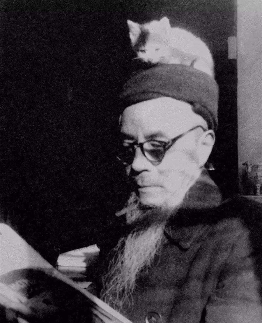 双十一来了你的购物车还缺什么,双十一来了购物车