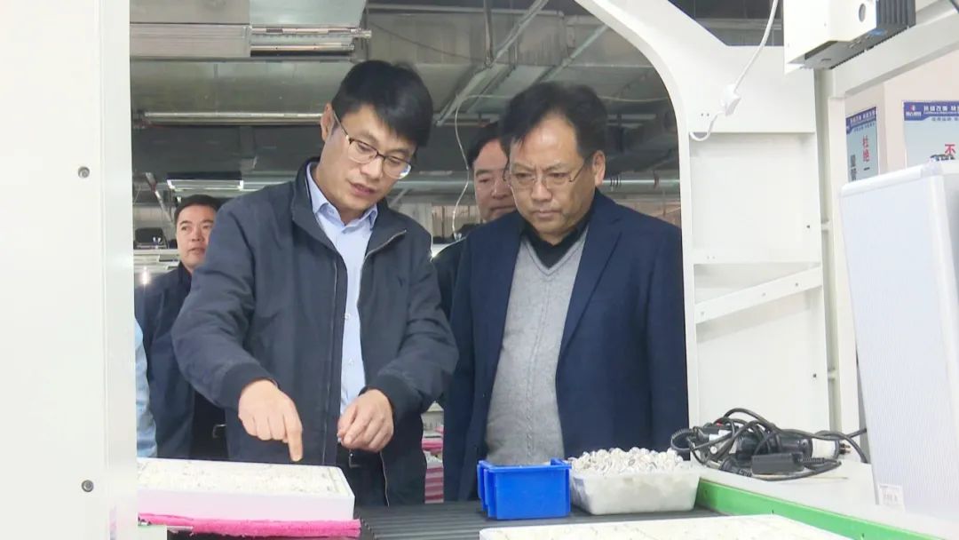 宝应张小辉最新公示,宝应张小辉县长