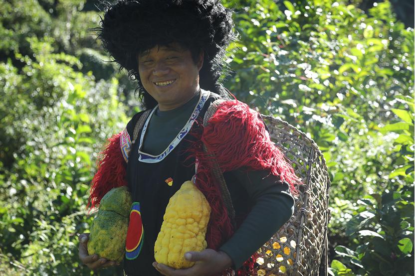 天猫京东双十一成交额对比,京东和天猫双十一销量对比