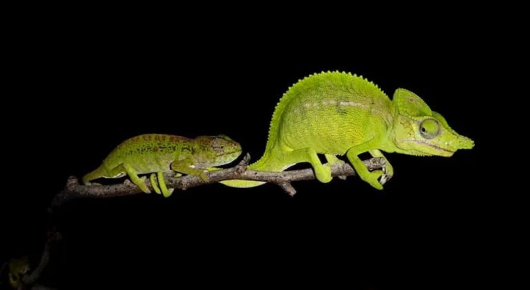 科技爱好者周刊（第133期）：贵州变瑞士，有没有可能？