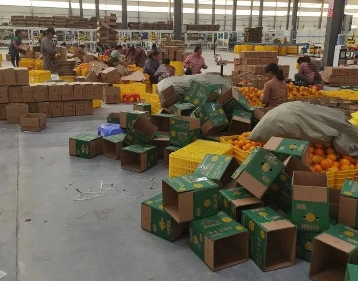 双11电商营收,双11三大电商销售额排名