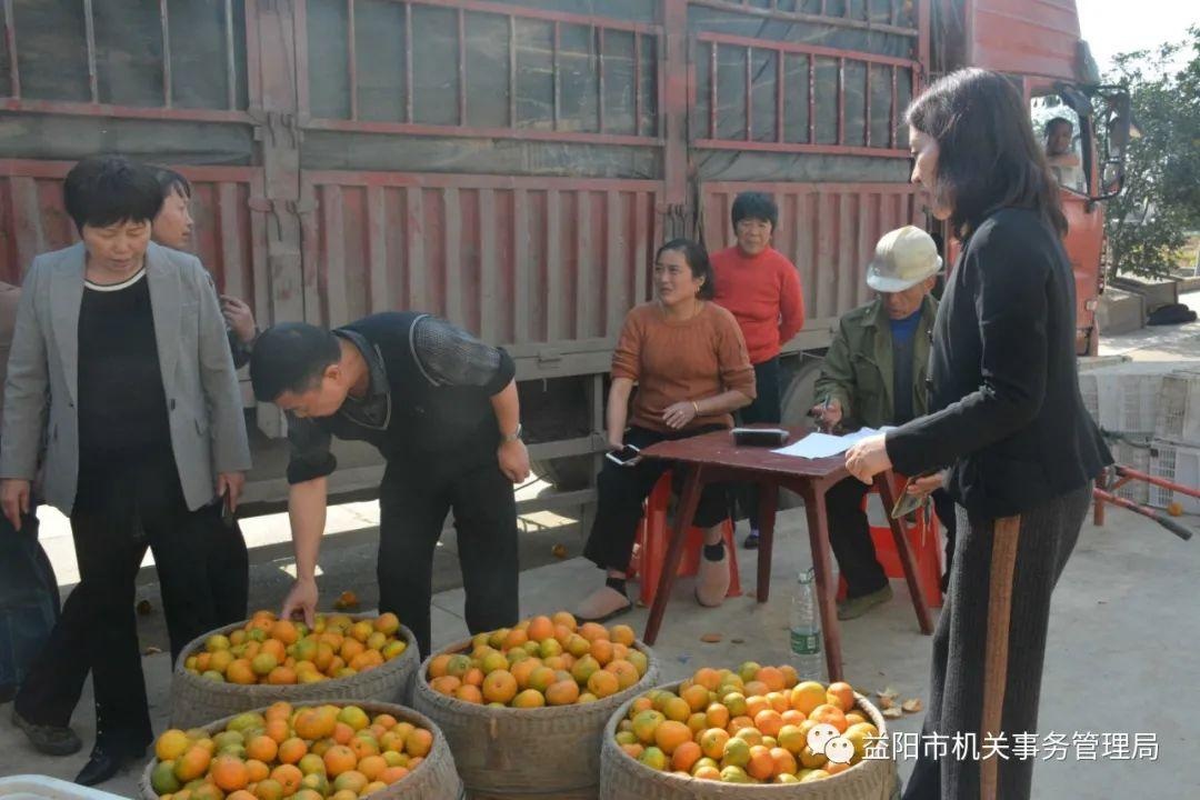 「脱贫攻坚」艾华集团认购3.5万公斤！富民村滞销橘子一天变畅销