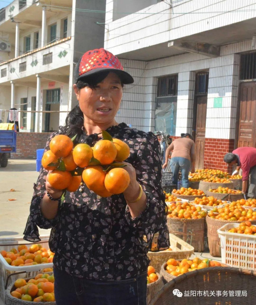 「脱贫攻坚」艾华集团认购3.5万公斤！富民村滞销橘子一天变畅销