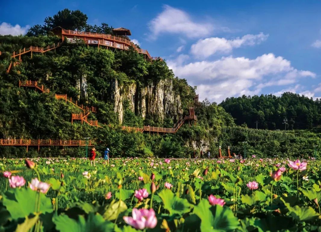 红花岗区：生态赋能乡村游旺了产业百姓甜